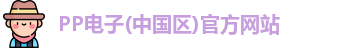 pp电子的官网地址
